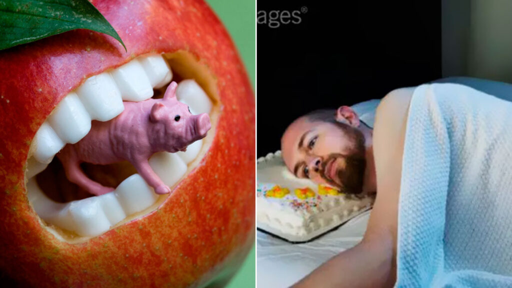 weird stock photos