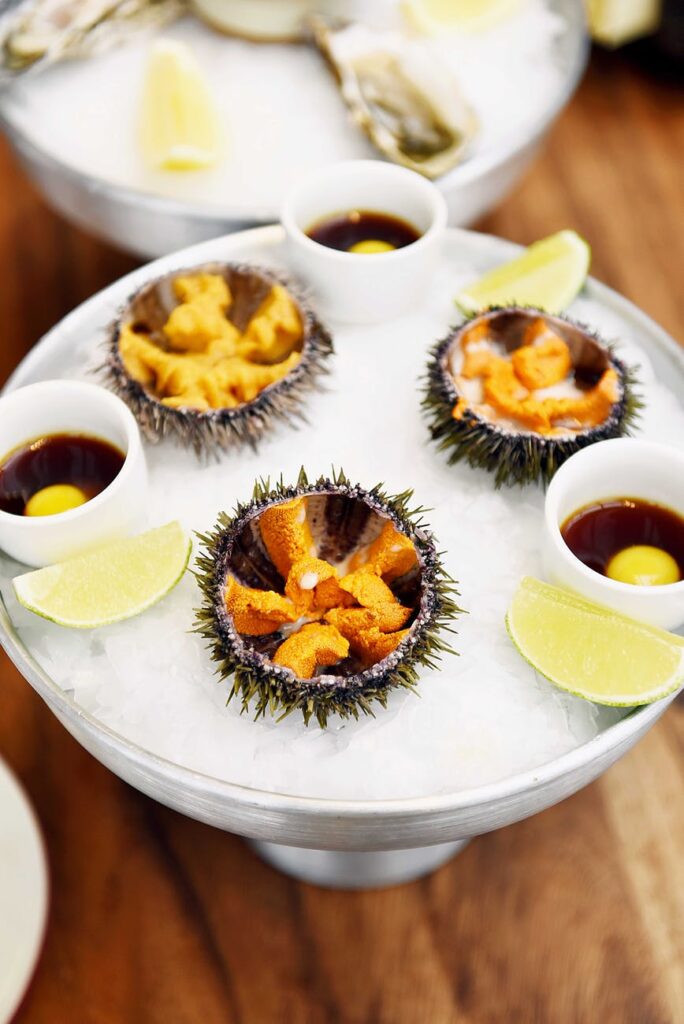 a fresh sea urchins on top of crushed ice