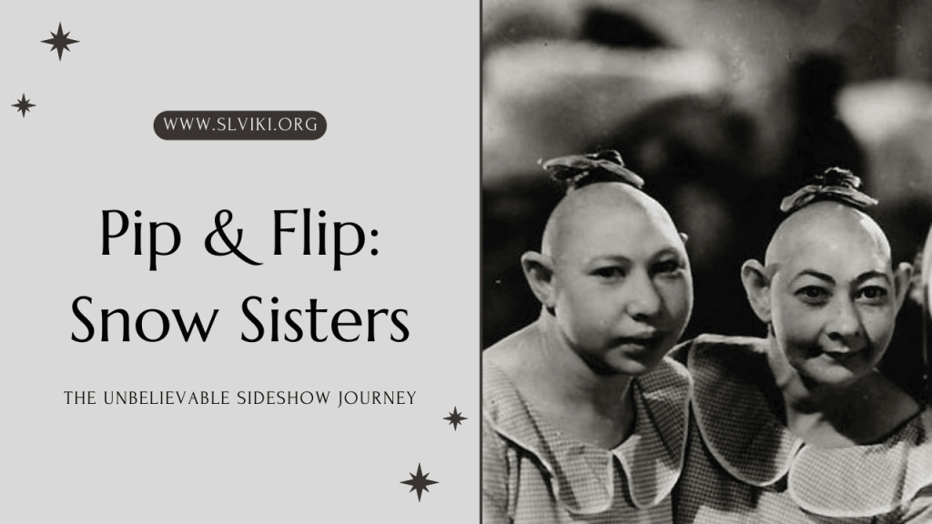 pip and flip snow sisters